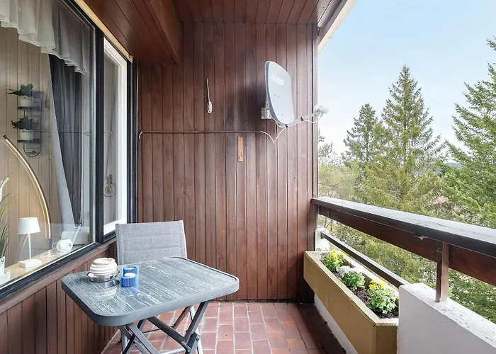 Quality Time Auf 1000 Meter Apartment Schoenwald im Schwarzwald